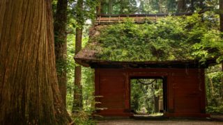 長野県『戸隠神社奥社』の8K映像と撮影写真